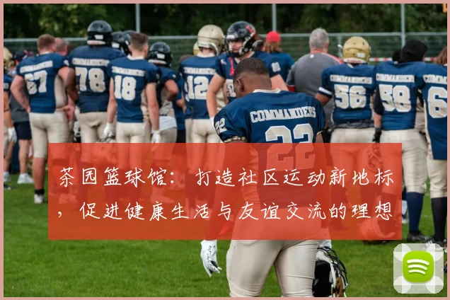 茶园篮球馆：打造社区运动新地标，促进健康生活与友谊交流的理想场所