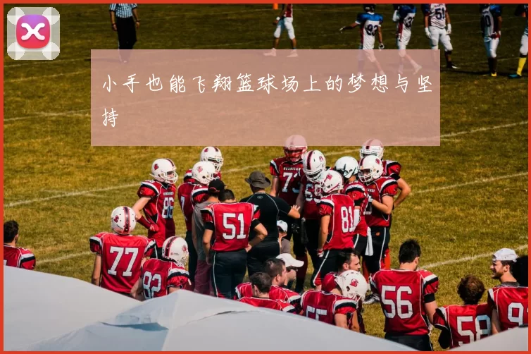 小手也能飞翔篮球场上的梦想与坚持